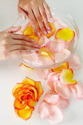 Similar image 1652179