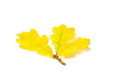 Similar image 1652244