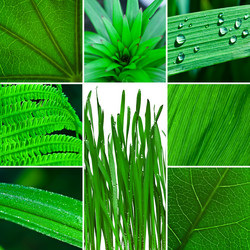 Similar image 1652483