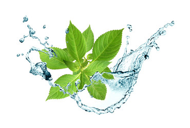 Similar image 1652565