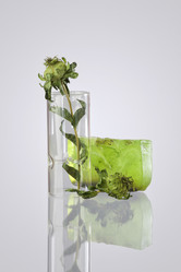 Similar image 1652610