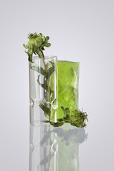 Similar image 1652611