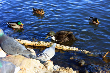 Similar image 1652625