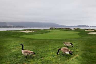 Similar image 1652680