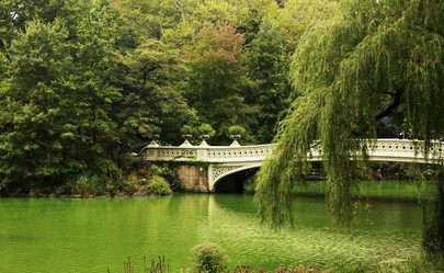 Similar image 1652681