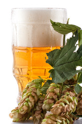 Similar image 1652768