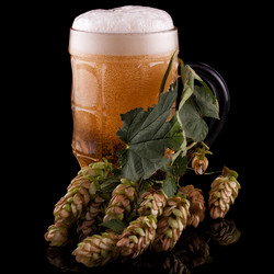 Similar image 1652769