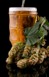 Similar image 1652771