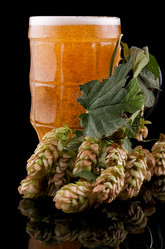 Similar image 1652772