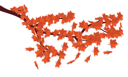 Similar image 1652875