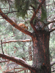 Similar image 1653002