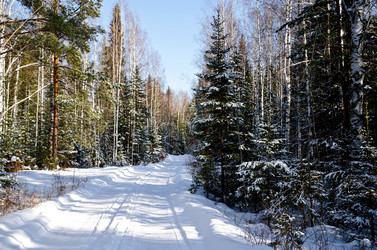 Similar image 1653017