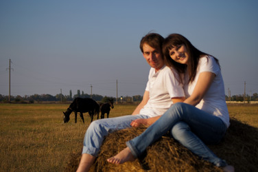 Similar image 1653035