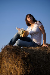 Similar image 1653096