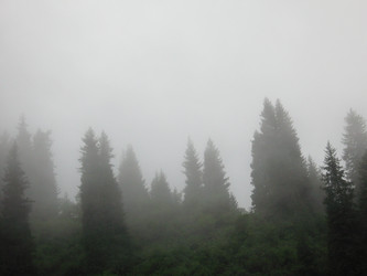 Similar image 1653097