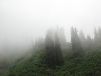 Similar image 1653098