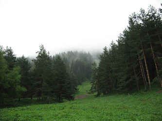 Similar image 1653099