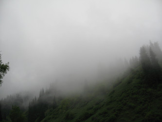 Similar image 1653100