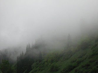 Similar image 1653138