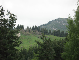 Similar image 1653139