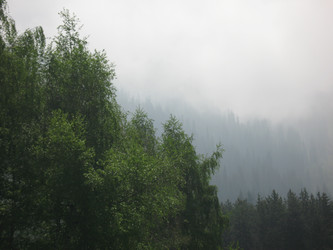 Similar image 1653141