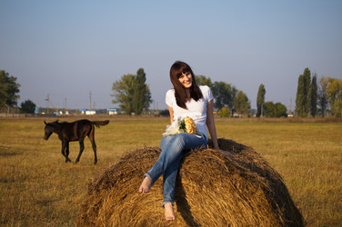 Similar image 1653146