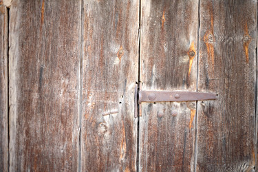 Similar image 1653254