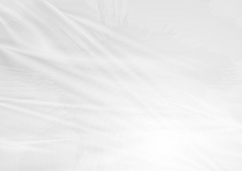 Similar image 1653613