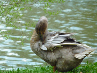 Similar image 1653654