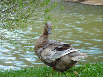 Similar image 1653656