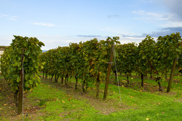 Similar image 1653691