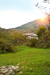 Similar image 1653775