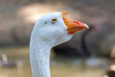 Similar image 1653849