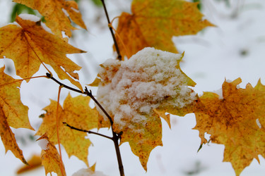 Similar image 1653902