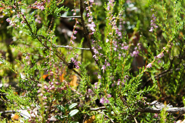 Similar image 1653906