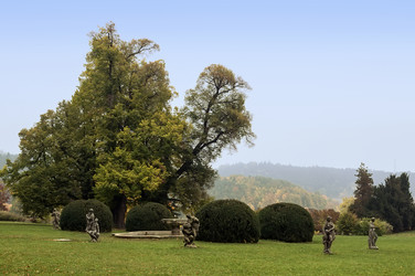 Similar image 1653908