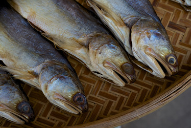 Similar image 1653921