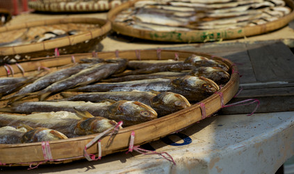 Similar image 1653923