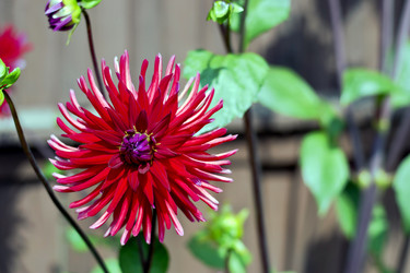 Similar image 1653925