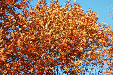 Similar image 1653952