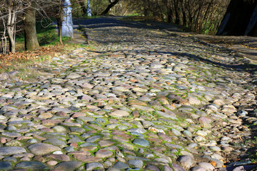 Similar image 1653954