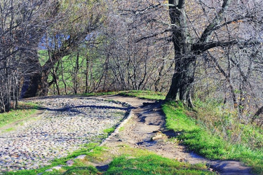 Similar image 1653955