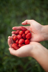 Similar image 1653970