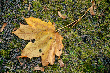 Similar image 1653998