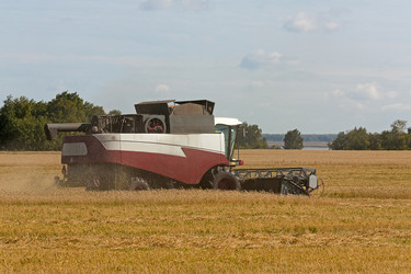 Similar image 1654028