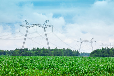 Similar image 1654032