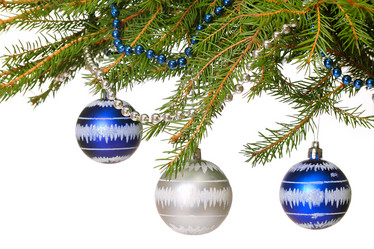 Similar image 1654051