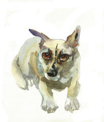 Similar image 1654110