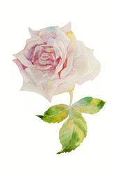 Similar image 1654116