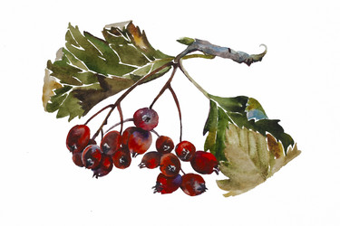 Similar image 1654118